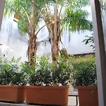Flo House בארי