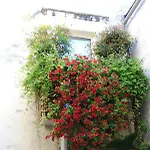 Apartment Flo House