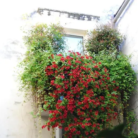 דירה Flo House